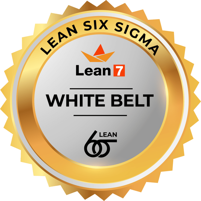 Certification sigma six belt answers training