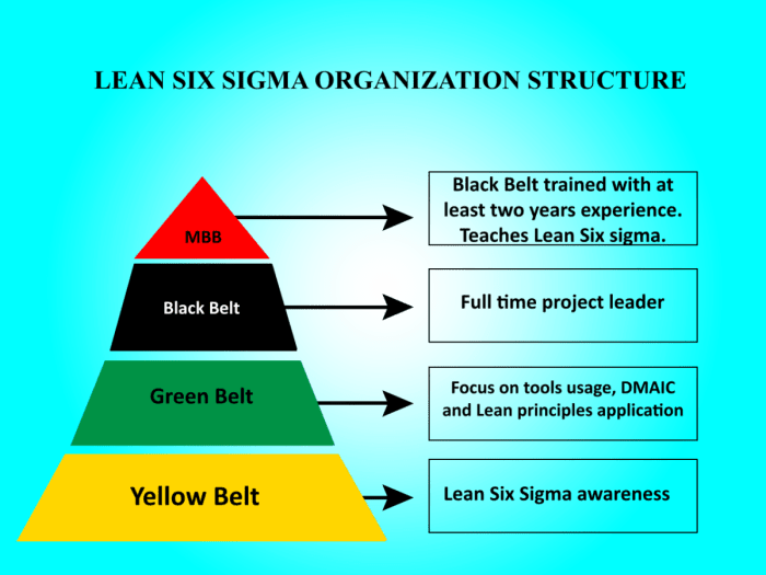 Six sigma white belt answers