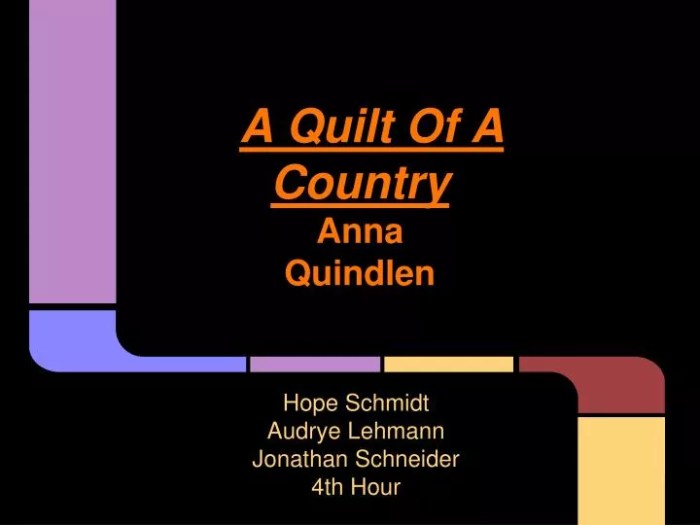 A quilt of a country by anna quindlen