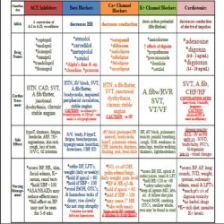 Pn pharmacology online practice 2020 a