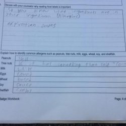 Camping merit badge packet answers