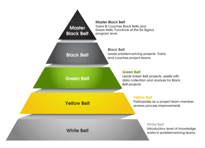 Sigma hierarchy lean hygger