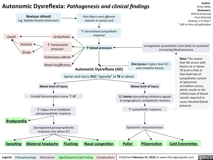 Nurses need physiology autonomic dysreflexia